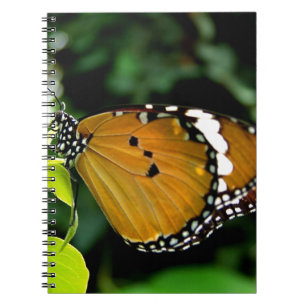Orange, Black and White Butterfly on Leaf Notebook