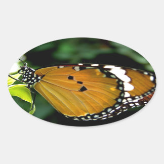 Orange, Black and White Butterfly on Leaf Oval Sticker