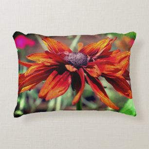 Orange Black Eyed Susan Flower Close Up Decorative Cushion