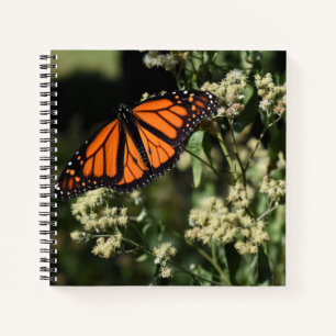 Orange Black Monarch Butterfly Nature Photography Notebook