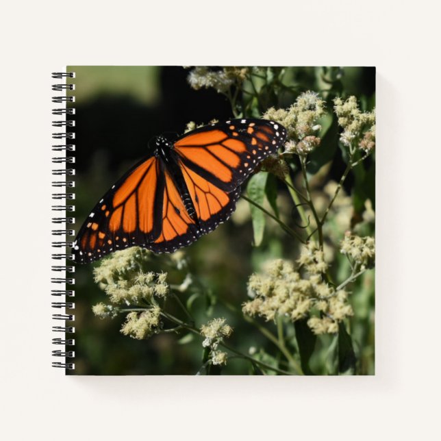 Orange Black Monarch Butterfly Nature Photography Notebook (Front)