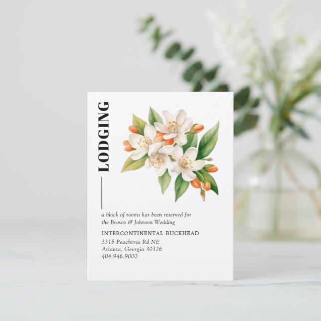 Orange Blossom Accommodations Card (Standing Front)