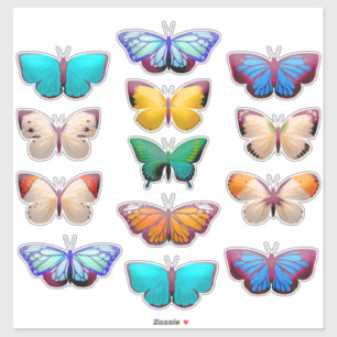 Orange Blue Green Yellow White Butterfly 