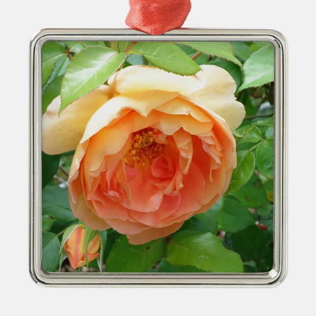Orange Blush Rose Metal Tree Decoration (Front)