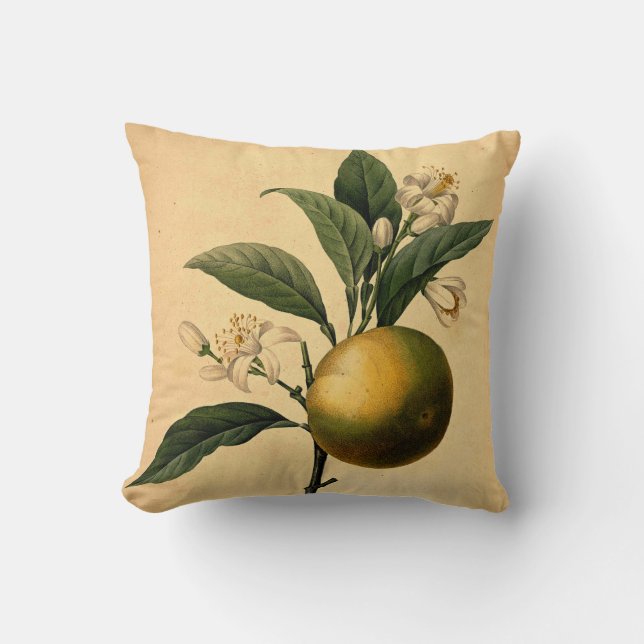 Orange Botanical Illustration Cushion (Front)