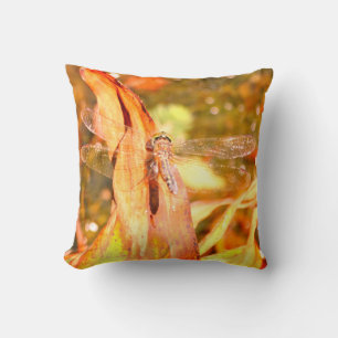 Orange brown yellow Pillow dragonfly, green eyes