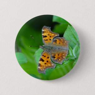 Orange butterfly 6 cm round badge