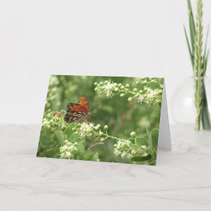 Orange Butterfly All Occasion Blank Greeting Card