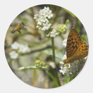 Orange Butterfly and Bee Classic Round Sticker