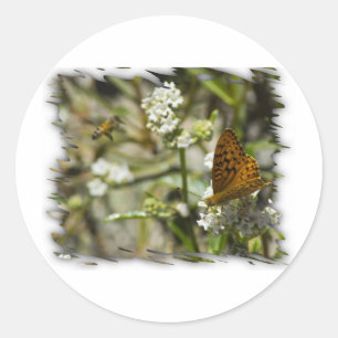 Orange Butterfly and Bee Classic Round Sticker