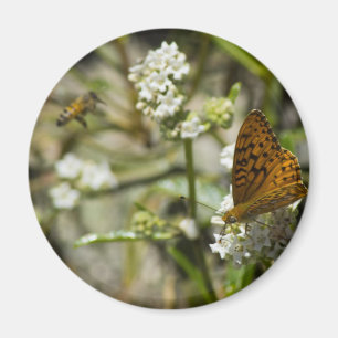Orange Butterfly and Bee Magnet