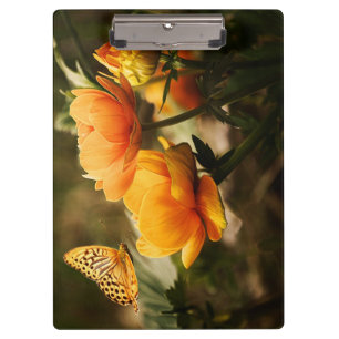 Orange Butterfly and Flowers Clipboard