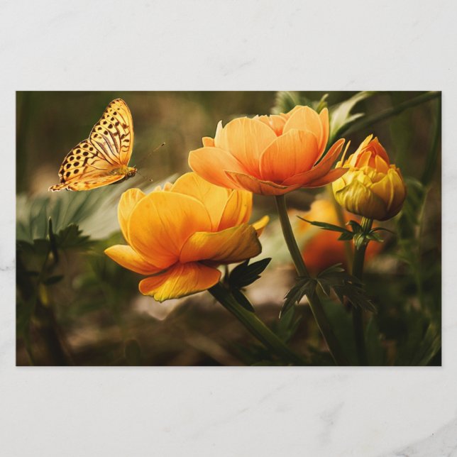 Orange Butterfly and Flowers Stationery (Front)