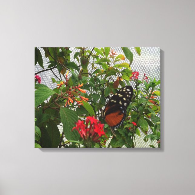 ORANGE BUTTERFLY CANVAS PRINT (Front)