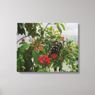 ORANGE BUTTERFLY CANVAS PRINT