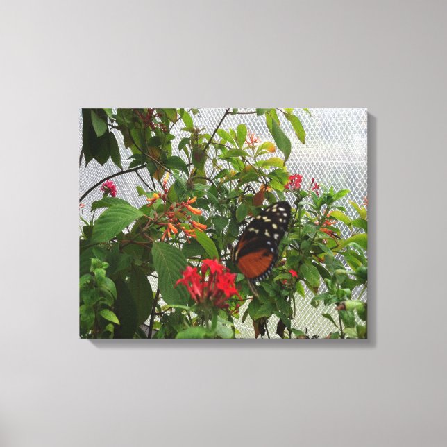 ORANGE BUTTERFLY CANVAS PRINT (Front)