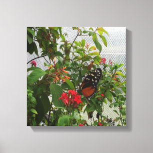 ORANGE BUTTERFLY CANVAS PRINT