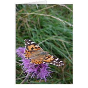 Orange Butterfly Card