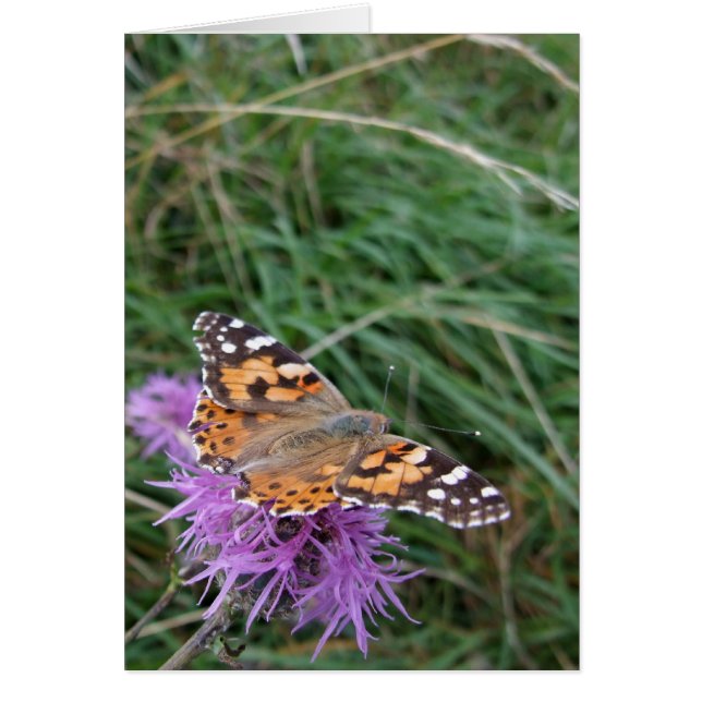 Orange Butterfly Card (Front)