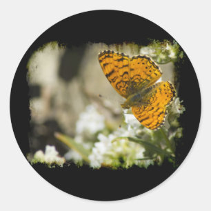 Orange Butterfly Classic Round Sticker