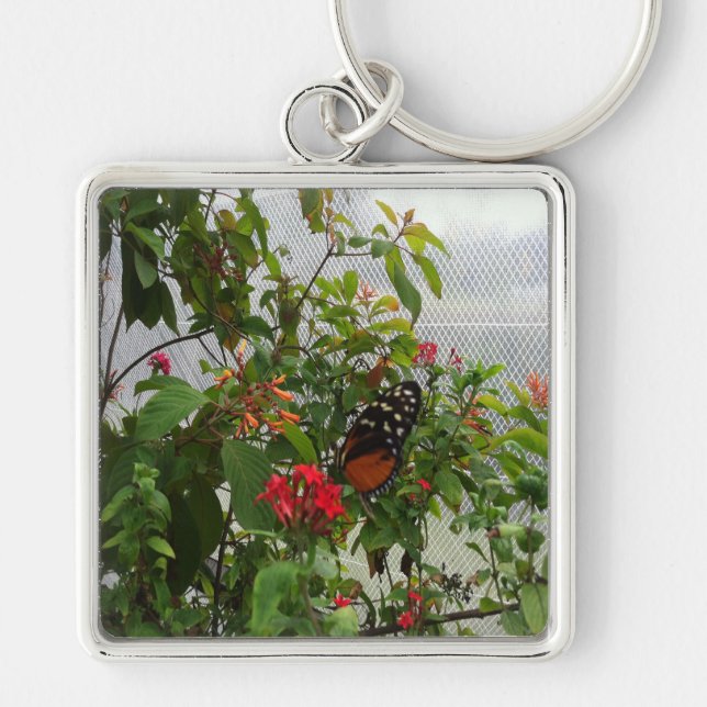 ORANGE BUTTERFLY KEY RING (Front)