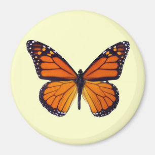 Orange Butterfly Magnet