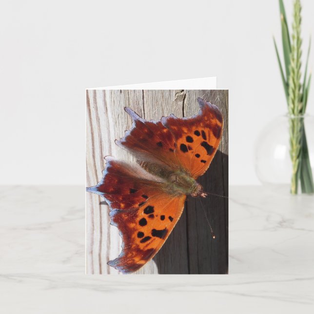 Orange Butterfly Note Card (Front)