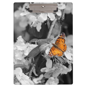 Orange Butterfly On Apple Blossom Clipboard
