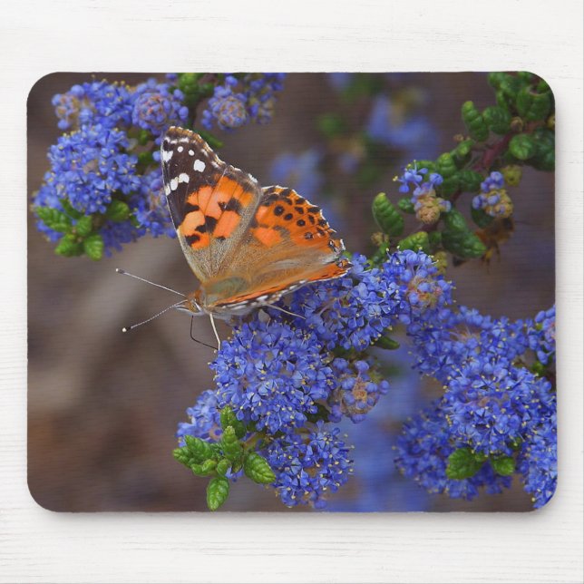 Orange Butterfly On Blue Flower Mouse Pad (Front)