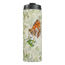 Orange Butterfly on Delicate White Flowers