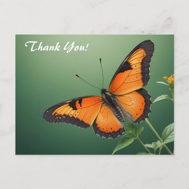 Orange Butterfly on Green Postcard (Front)