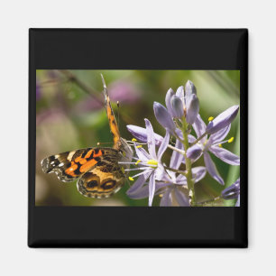 Orange Butterfly on Wild Hyacinth Apparel & Gifts Magnet