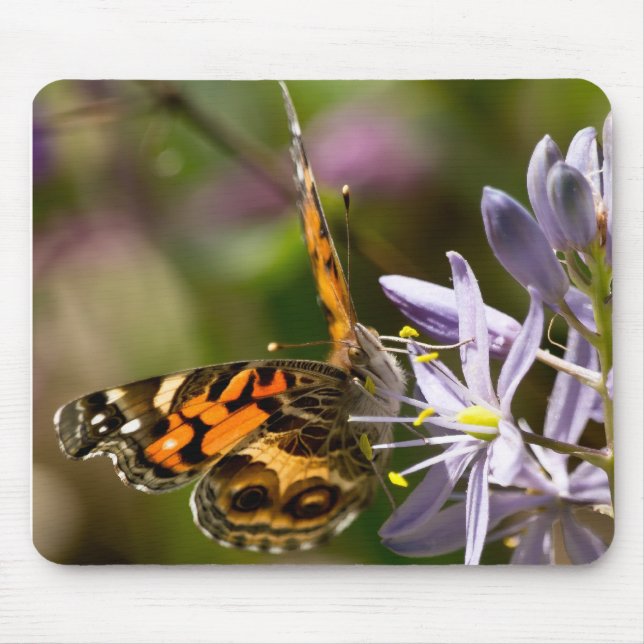 Orange Butterfly on Wild Hyacinth Apparel & Gifts Mouse Pad (Front)