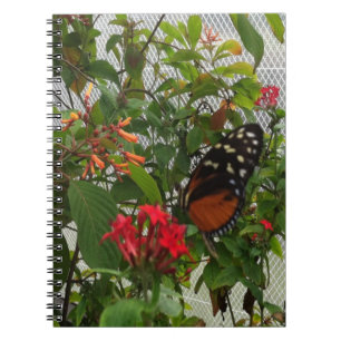 ORANGE BUTTERFLY SPIRAL NOTEBOOK
