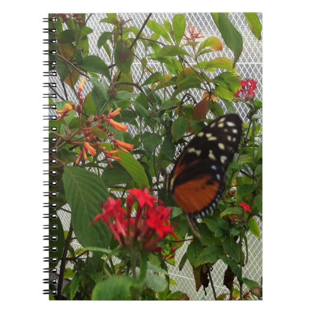 ORANGE BUTTERFLY SPIRAL NOTEBOOK (Front)