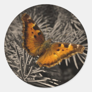 Orange Butterfly Stickers