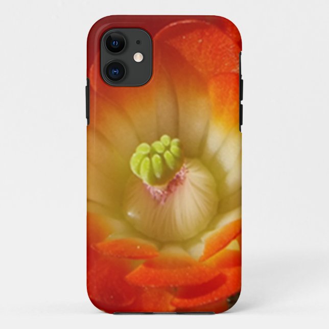 Orange cactus flower iPhone Case (Back)