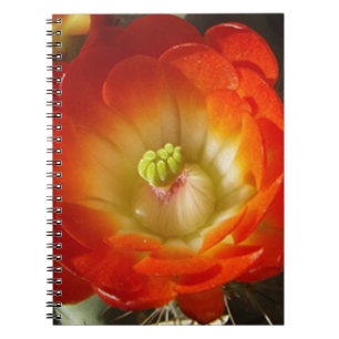 Orange-Cactus-flower Spiral Notebook