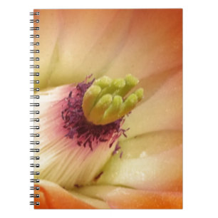 Orange Cactus Flower Spiral Notebook