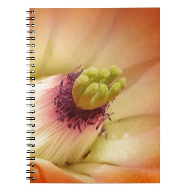 Orange Cactus Flower Spiral Notebook (Front)