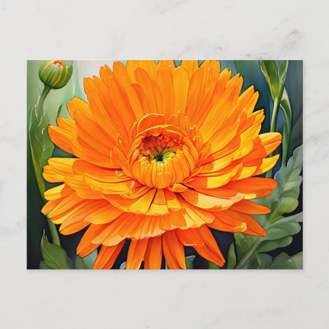 Orange Calendula Watercolor with Soft Gradient  Postcard (Front)