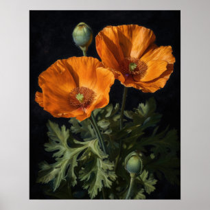 Orange California Poppy Flowers Art Print Poster