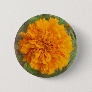 Orange Carnation button