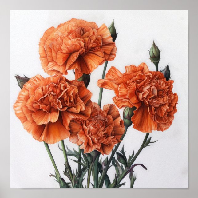 Orange Carnations Flower Art Print Poster (Front)