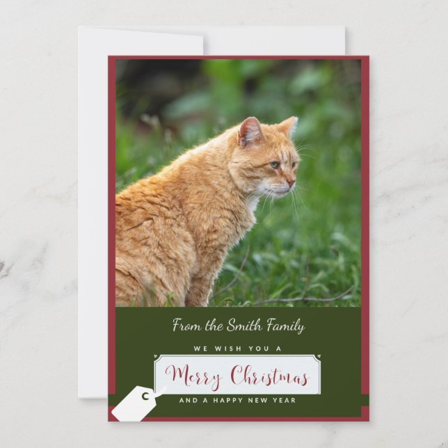 Orange Cat Christmas Card (Front)