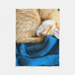 Orange cat curled up on blanket