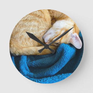 Orange cat curled up on blanket round clock