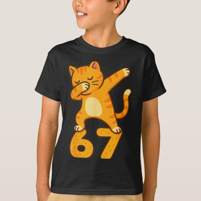 Orange Cat Dabbing Funny 67 Six Seven Meme  T-Shirt (Front)