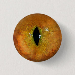 Orange Cat Eye 3 Cm Round Badge