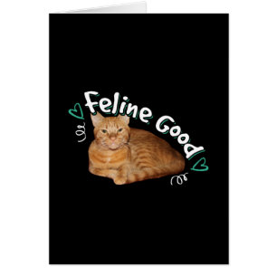 Orange Cat - Feline Good Pun